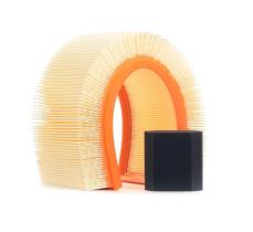 Purflux A1786 - A1786 Filtros De Aire Citroen/Peuge